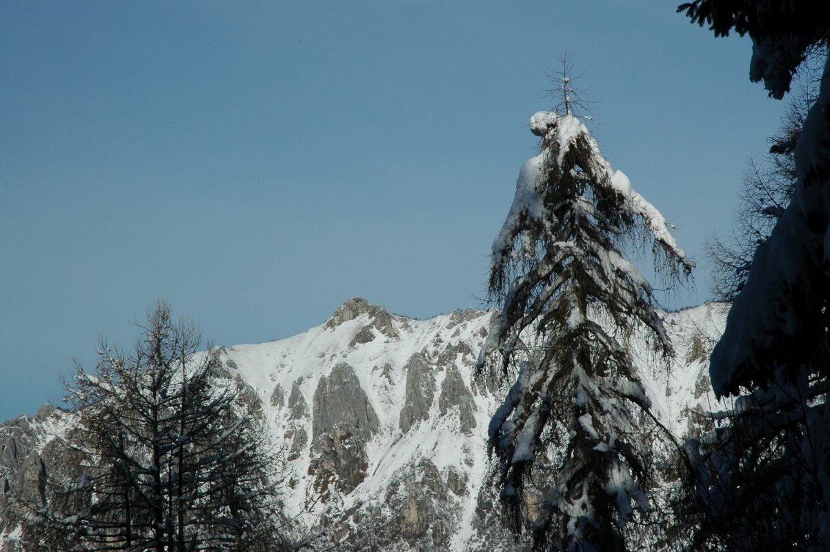 Parco Valentino al Monte Coltignone